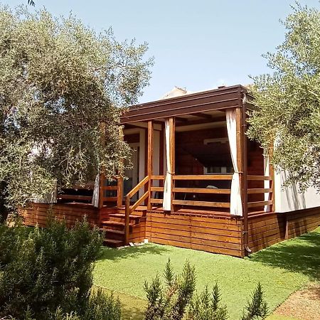 Mobile Homes Olive And Sea Bibinje Luaran gambar