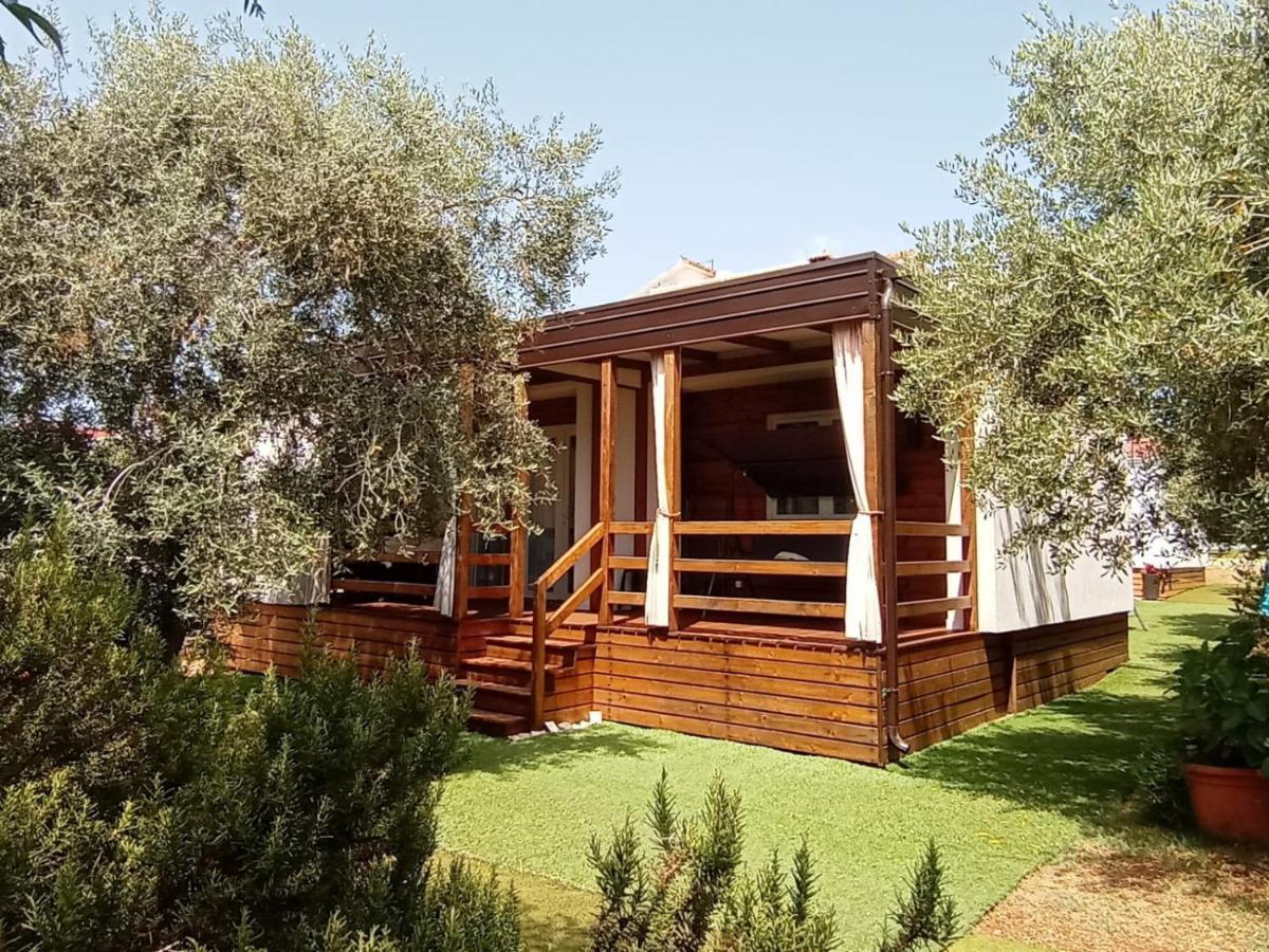Mobile Homes Olive And Sea Bibinje Luaran gambar